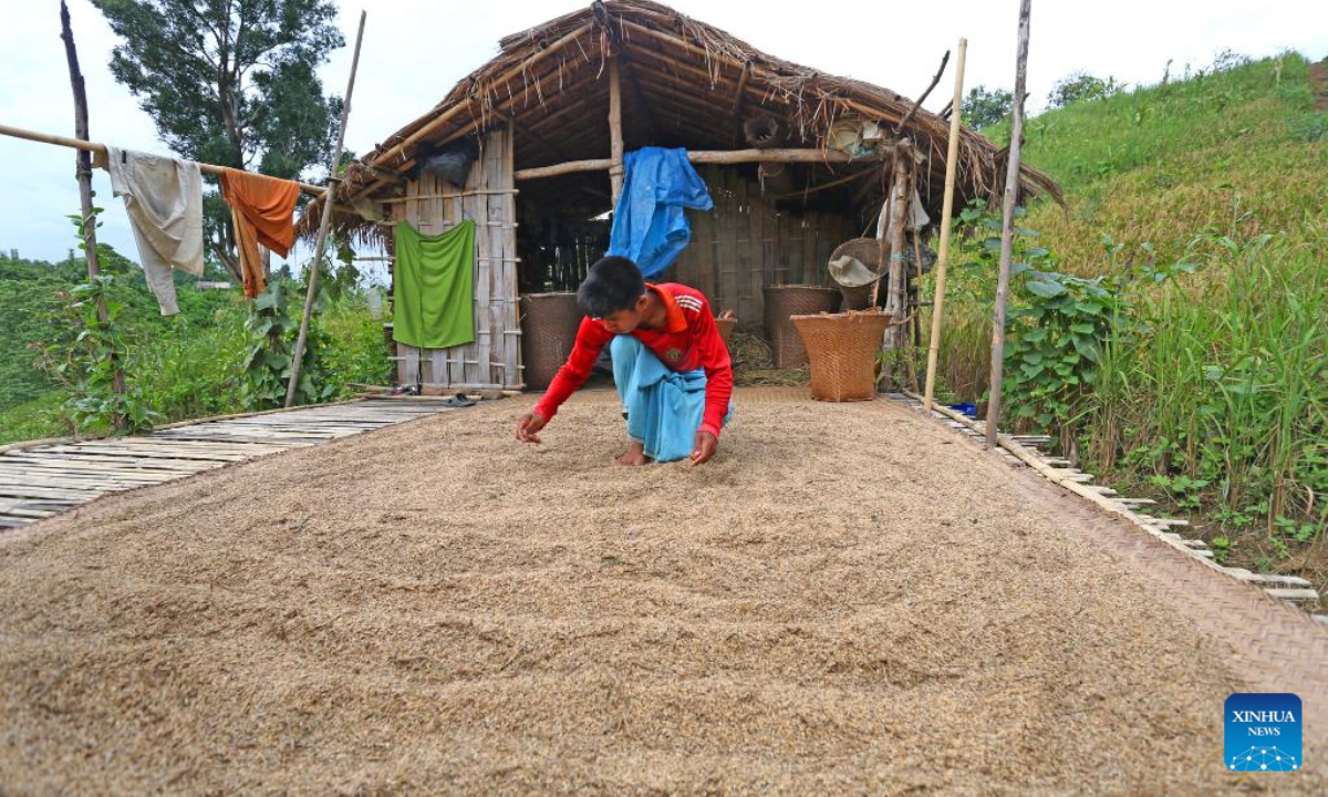 A farmer dries paddy on a bamboo platform in front of a hut at a village in Chattogram Hill Tracts region in Bangladesh on Sep 12, 2022. Photo:Xinhua