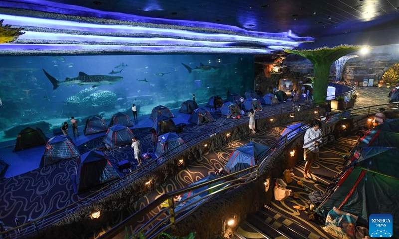 Visitors observe whale sharks in the early morning at Chimelong Ocean Kingdom in Zhuhai, south China's Guangdong Province, Aug. 28, 2022. Chimelong Ocean Kingdom in Zhuhai of south China's Guangdong Province has launched the night camping service at its whale shark hall. Visitors could spend the night in tents here and observe the giant creatures closely.(Photo: Xinhua)