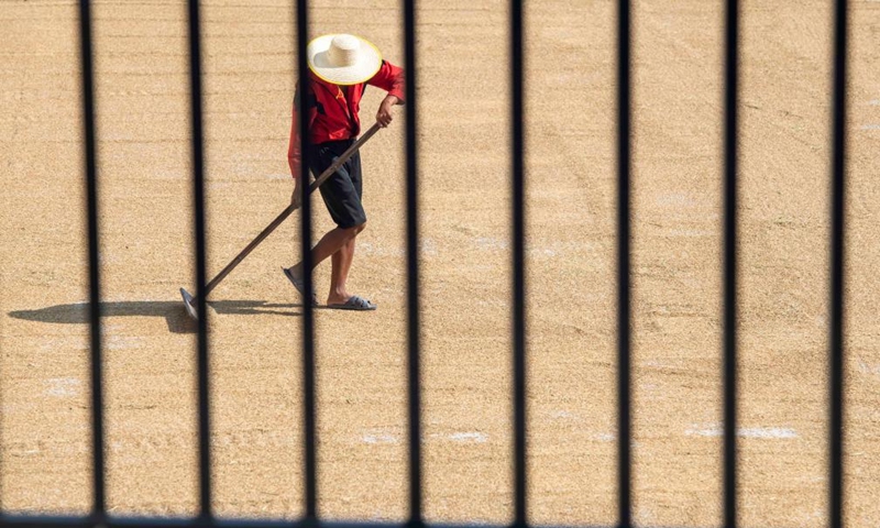 Aerial photo taken on Sept. 4, 2022 shows a villager airing rice in Zhongping Village of Qingtang Town in Daoxian County, Yongzhou City, central China's Hunan Province.Photo:Xinhua