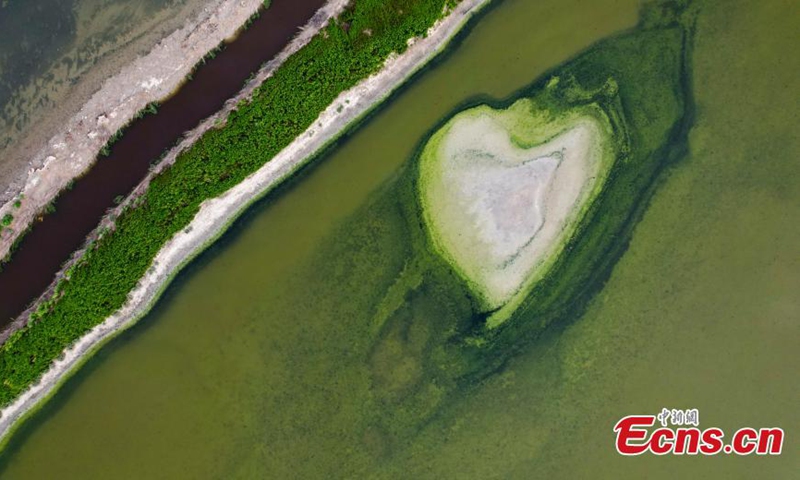 2022年9月4日，在中国北方山西省被称为中国死海的运城盐湖上形成心形盐层。图片：中新社