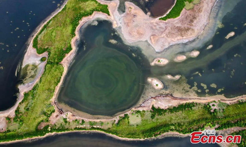 A heart-shaped salt formation is formed on the salt lake in Yuncheng, known as Dead Sea of China in north China's Shanxi Province, Sept. 4, 2022.Photo:China News Service