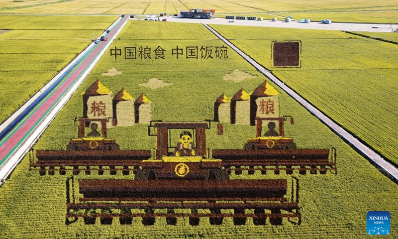 Aerial photo taken on Sept. 2, 2022 shows an art creation made up of living plants of different colors in a paddy rice technology demonstration park in Fujin City of northeast China's Heilongjiang Province.Photo:Xinhua
