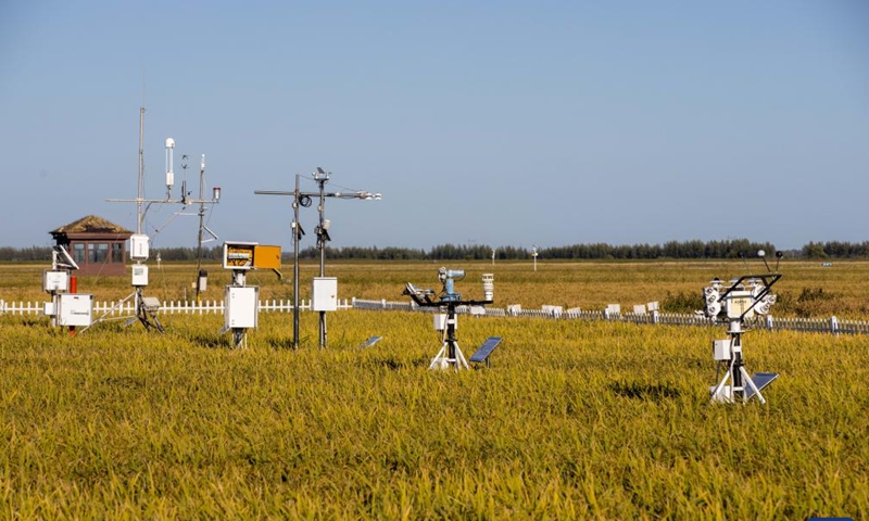 Photo taken on Sept. 2, 2022 shows a number of weather monitoring devices in a paddy rice technology demonstration park in Fujin City of northeast China's Heilongjiang Province.Photo:Xinhua