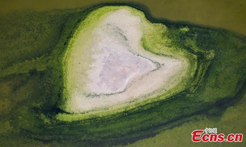 A heart-shaped salt formation is formed on the salt lake in Yuncheng, known as Dead Sea of China in north China's Shanxi Province, Sept. 4, 2022.Photo:China News Service