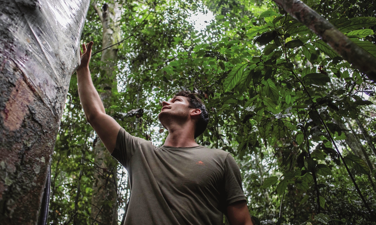 A scientist checks the devices installed on the trees in the Yangambi Biosphere Reserve, northeast of the Democratic Republic of Congo, on September 2, 2022.Photo:AFP