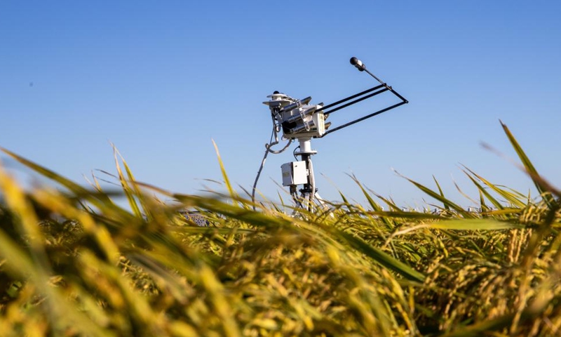 Photo taken on Sept. 2, 2022 shows a weather monitoring device in a paddy rice technology demonstration park in Fujin City of northeast China's Heilongjiang Province.Photo:Xinhua