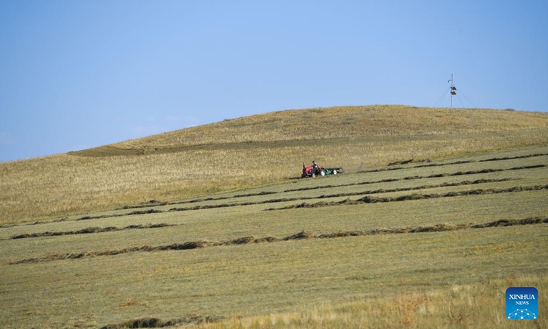 Herdsmen are busy on a grassland in Abag Banner, north China's Inner Mongolia Autonomous Region, Sept. 8, 2022. Herdsmen here are busy mowing grasses to be stored as the winter food for their livestock. (Xinhua/Liu Lei)