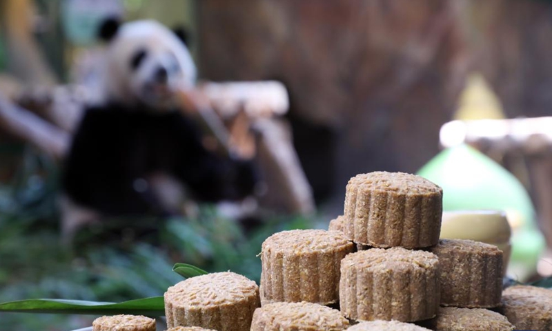 Photo taken on Sept. 9, 2022 shows the specially-made mooncakes for giant panda triplets at the Chimelong Safari Park in Guangzhou, south China's Guangdong Province.Photo:Xinhua