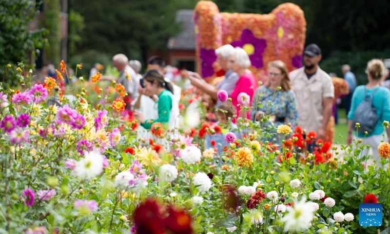 Visitors enjoy dahlia flowers at the Keukenhof Castle in Lisse, the Netherlands, on Sept. 11, 2022.Photo:Xinhua