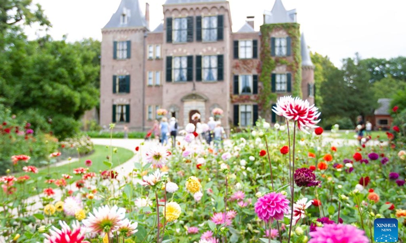 Visitors enjoy dahlia flowers at the Keukenhof Castle in Lisse, the Netherlands, on Sept. 11, 2022.Photo:Xinhua