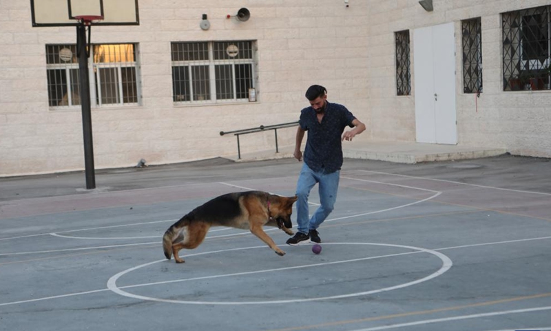 Munzer al-Jaabari plays with his German shepherd Lucy, in the West Bank city of Hebron, on Aug. 29, 2022.、Photo:Xinhua