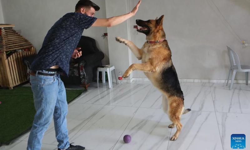 Munzer al-Jaabari plays with his German shepherd Lucy, in the West Bank city of Hebron, on Aug. 29, 2022.、Photo:Xinhua