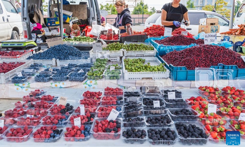 Local fruits are displayed at a food fair in Vladivostok, Russia, Sept. 14, 2022. (Photo: Xinhua)