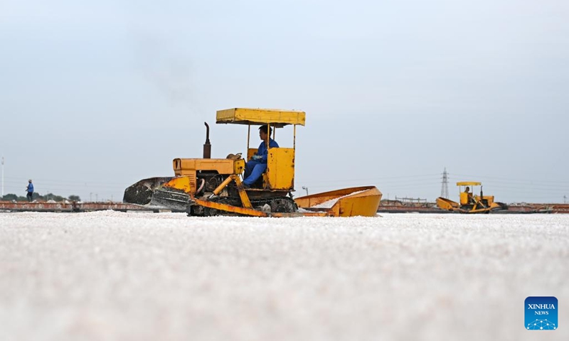 Machines work in a salt pond in the Changlu Hangu salt field, one of China's oldest coastal salt fields, in north China's Tianjin, Sept. 14, 2022. Autumn harvest has recently started at the salt field and is expected to last until late October.(Photo: Xinhua)