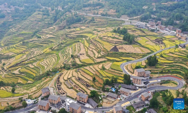 Aerial photo taken on Sept. 14, 2022 shows the terraced fields in Huatian Town of Youyang Tujia and Miao Autonomous County, southwest China's Chongqing. Huatian Town of Youyang Tujia and Miao Autonomous County in Chongqing is famous for its rice production on terraced fields.(Photo: Xinhua)