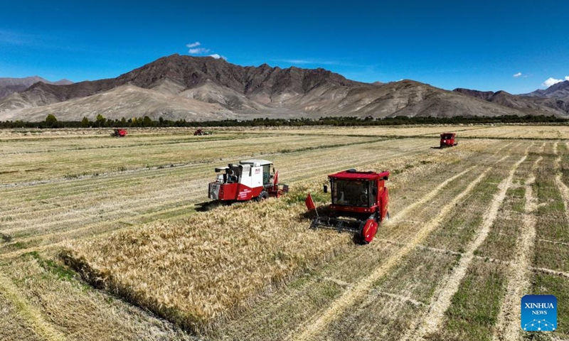 Aerial photo taken on Sept. 19, 2022 shows harvest machines operating in the highland barley field in Rasog Township of Gyangze County, Xigaze, southwest China's Tibet Autonomous Region. (Xinhua/Jigme Dorje)
