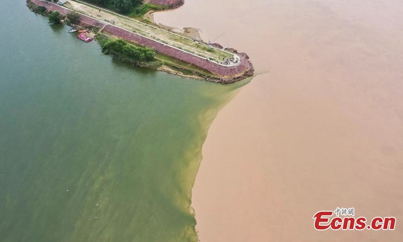 A clear boundary is formed between the colors of green and yellow on the intersection, where Luohe river joins the Yellow river in Gongyi, central China's Henan Province, Sept. 19, 2022. (Photo: China News Service/Wang Kewei)