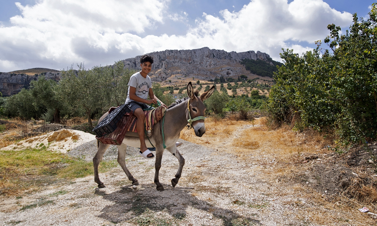 A youth rides a donkey in the Tunisian town of Djebba, southwest of the capital Tunis, on August 19, 2022.  Photo: AFP