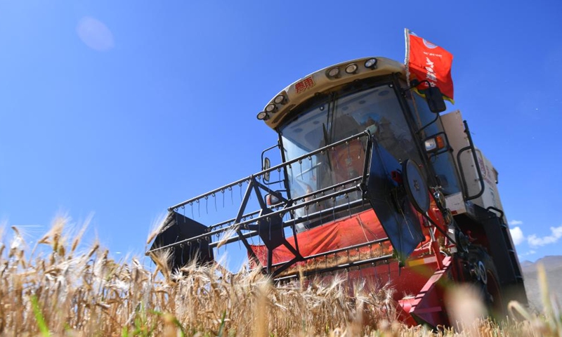 A harvester operates in the highland barley field in Rasog Township of Gyangze County, Xigaze, southwest China's Tibet Autonomous Region, Sept. 19, 2022. (Xinhua/Jigme Dorje)