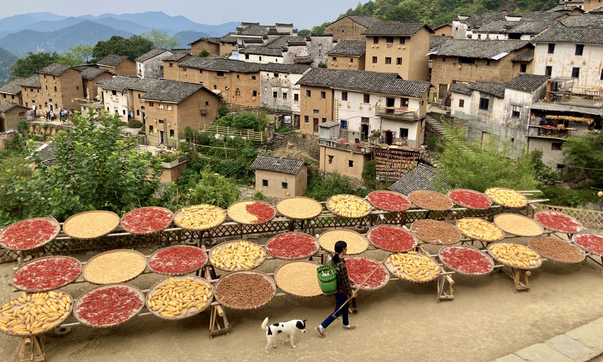 Photo taken in Shexian county in East China's Anhui Province shows people basking corn and hot peppers among other crops in a village on September 23, 2022, the day of the Autumnal Equinox and the fifth Chinese Farmers' Harvest Festival.  Photo: Xinhua