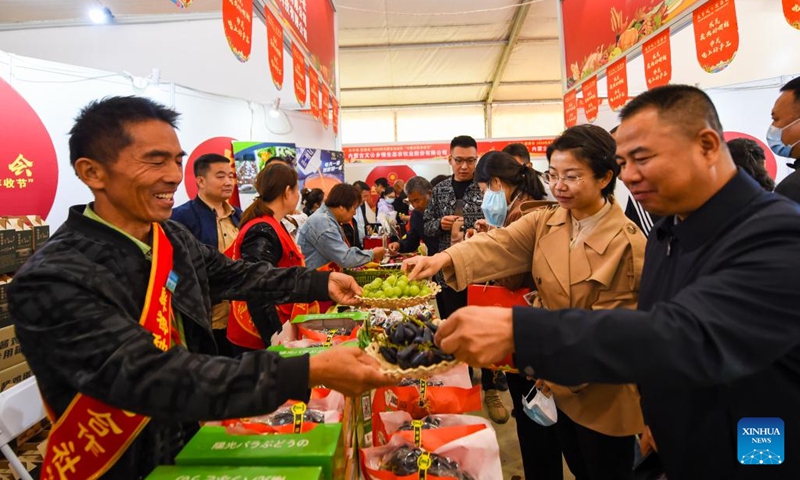 Visitors taste grapes during an activity celebrating the upcoming Chinese farmers' harvest festival in Hohhot, north China's Inner Mongolia Autonomous Region, Sept. 19, 2022. Initiated in 2018, the Chinese farmers' harvest festival coincides with the autumnal equinox each year, which is one of the 24 solar terms of the Chinese lunar calendar and usually falls between Sept. 22 and 24 during the country's agricultural harvest season.(Photo: Xinhua)