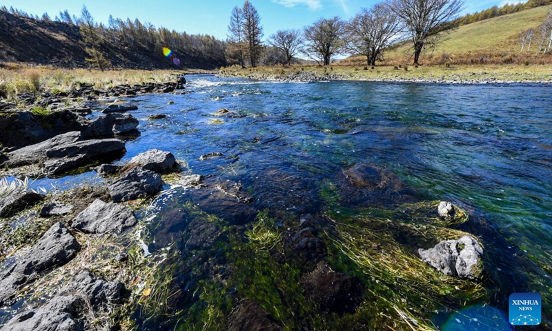 Photo taken on Sept. 21, 2022 shows the scenery of a river in the Arxan National Forest Park in Arxan of Hinggan League, north China's Inner Mongolia Autonomous Region.(Photo: Xinhua)