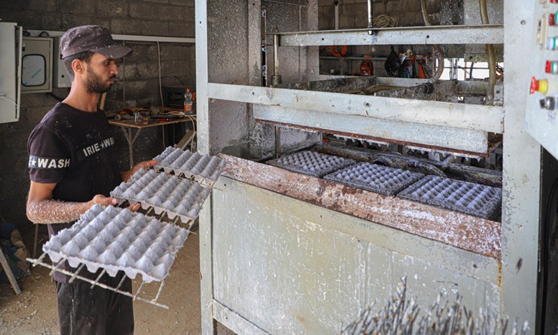 Gazans recycle schoolwork papers into egg cartons - Global Times
