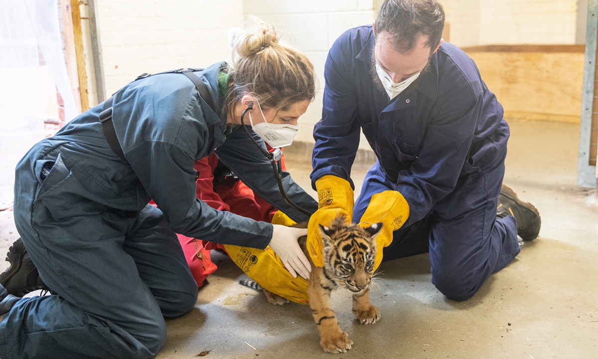 Time for a checkup Global Times