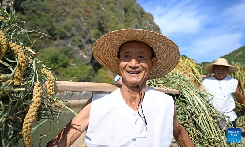 A villager carries freshly harvested millets in Nihe Village of Luozhuangzi Township, Jizhou District, north China's Tianjin, Sept. 21, 2022. Nihe Village has increased residents' incomes by promoting ecological organic millet planting in recent years. Cooperatives are set up to take charge of planting, procurement, packaging and sales of millets.(Photo: Xinhua)