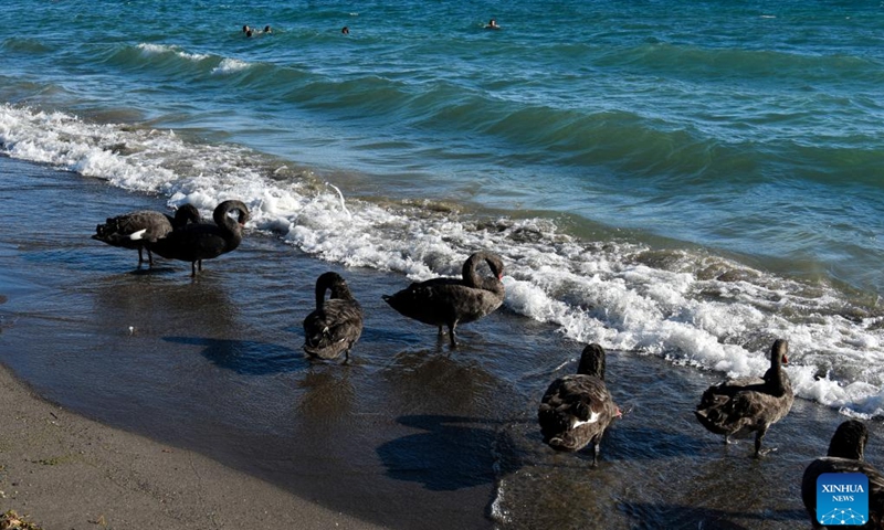 Photo taken on Dec. 26, 2020 shows the Taupo Lake in central part of north island of New Zealand.(Photo: Xinhua)