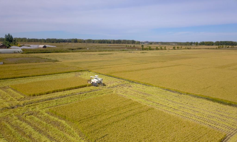 Aerial photo taken on Sept. 20, 2022 shows a farmer driving a farming machinery to harvest rice at a family farm in Jiutai District of Changchun, northeast China's Jilin Province. Autumn harvest has recently started at the rice-growing areas across the province. (Xinhua/Zhang Nan)