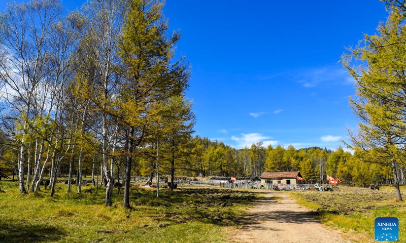Photo taken on Sept. 21, 2022 shows the scenery of a river in the Arxan National Forest Park in Arxan of Hinggan League, north China's Inner Mongolia Autonomous Region.(Photo: Xinhua)