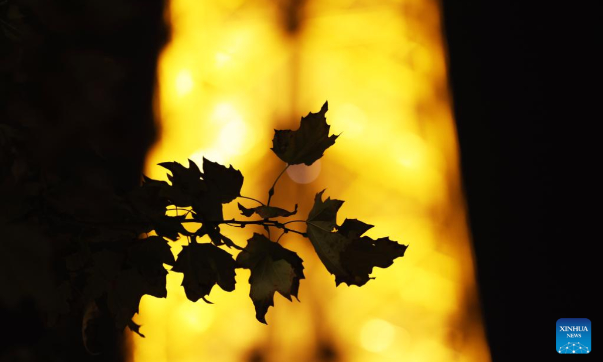 The lighting Eiffel Tower is seen in Paris, France, Sep 22, 2022. Lights will be switched off at the Eiffel Tower at 23:45, as soon as the last tourist leaves, instead of the current 1:00 from Sep 23 in order to help save energy. Photo:Xinhua
