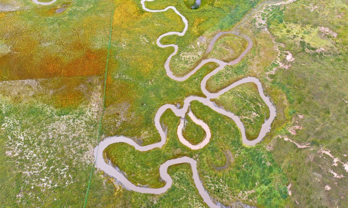 Aerial photo taken on Sep 15, 2021 shows a river near the Qinghai Lake in northwest China's Qinghai Province. Located in the northeastern part of the Qinghai-Tibet Plateau, the Qinghai Lake is key to maintaining the ecological balance in western China. Photo:Xinhua