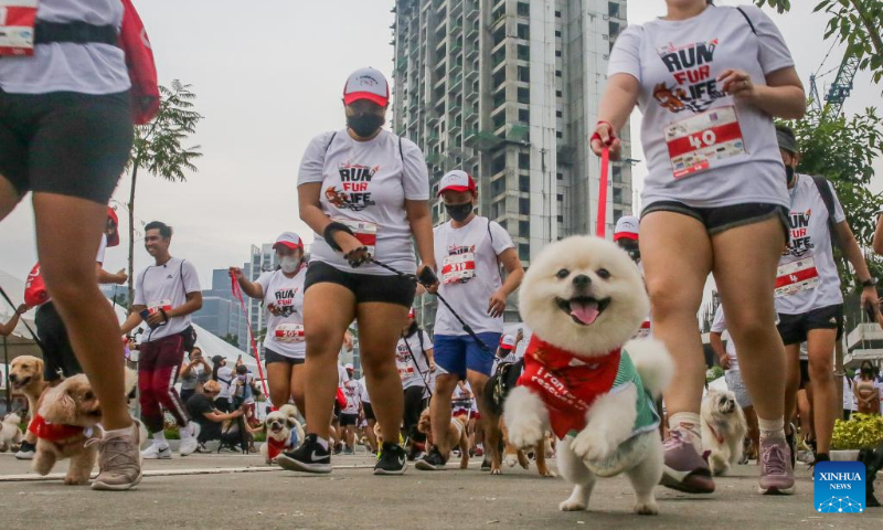 Dogs run with their owners during the 