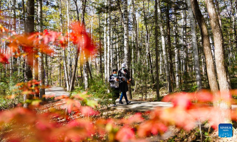 People visit the Hongshi National Forest Park in Jilin City, northeast China's Jilin Province, Oct. 5, 2022. (Xinhua/Yan Linyun)