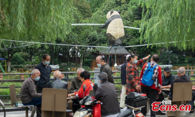 A bamboo-woven giant panda stands on a tightrope across Fuhe River in Chengdu, southwest China's Sichuan Province, adding fun to the city, Sept. 27, 2022. (Photo: China News Service/Liu Zhongjun)