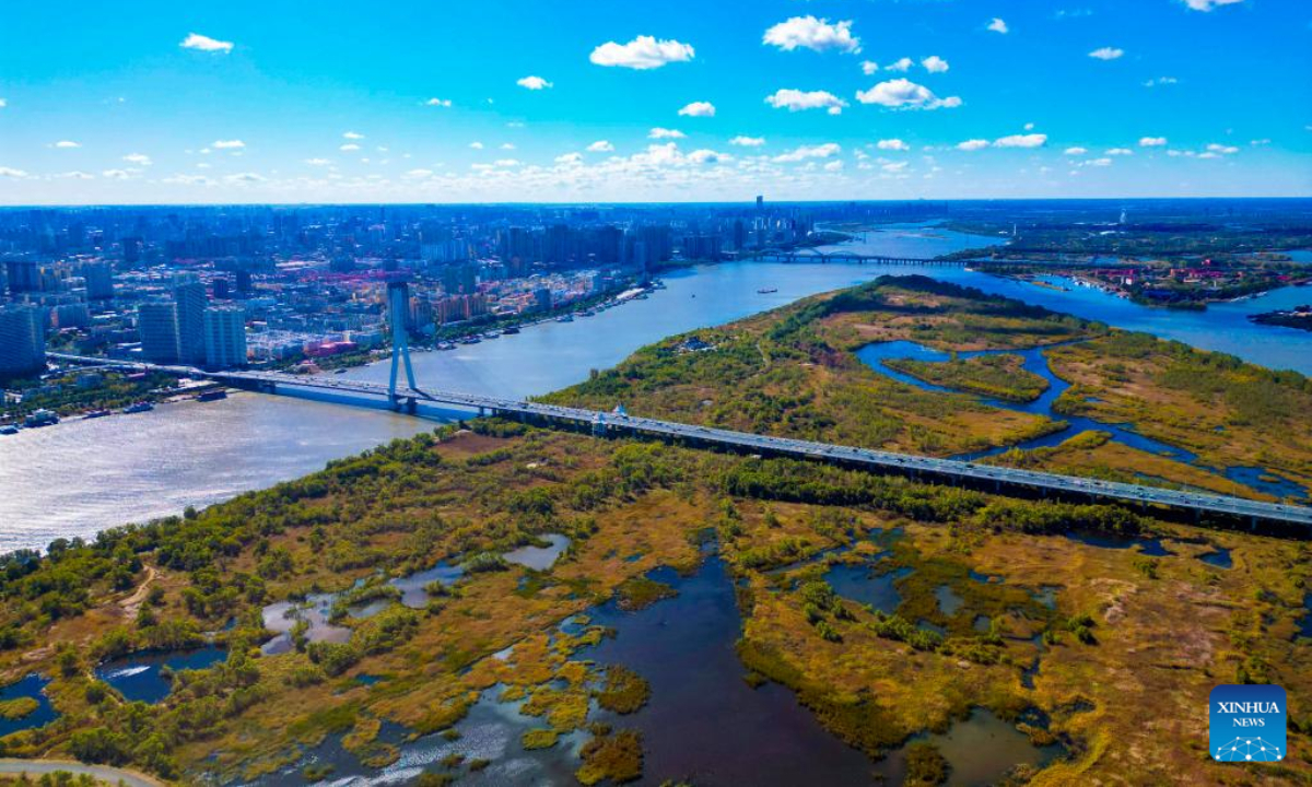 Aerial photo taken on Oct 4, 2022 shows the scenery of a national wetland park in Harbin, northeast China's Heilongjiang Province. Photo:Xinhua