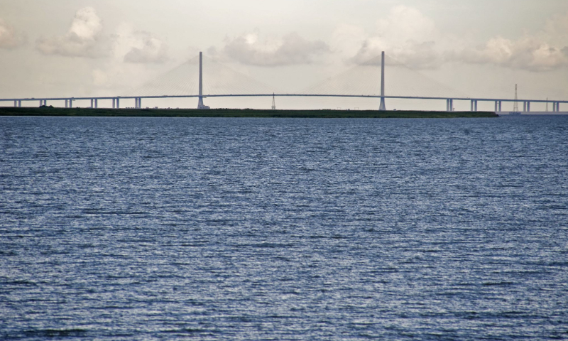 A view of Qingcaosha reservoir in Shanghai File Photo: VCG