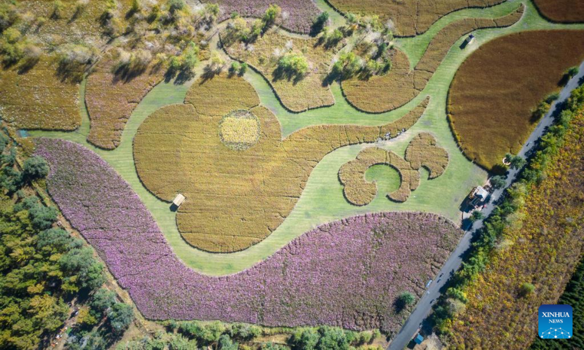 Aerial photo taken on Oct 4, 2022 shows the scenery of a tourist area in Harbin, northeast China's Heilongjiang Province. Photo:Xinhua