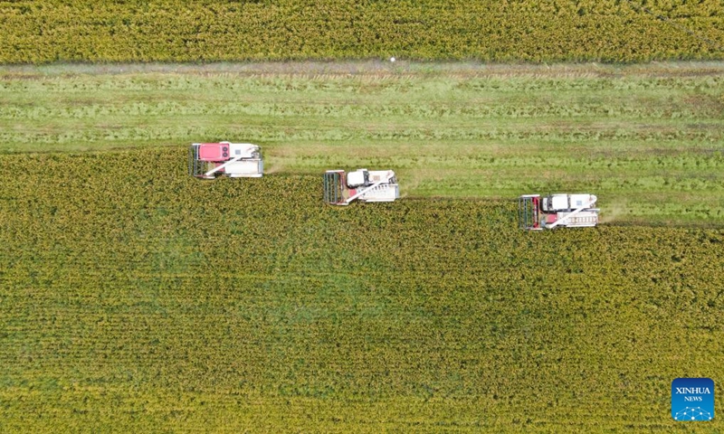 Aerial photo taken on Sept. 21, 2022 shows harvesters working in a paddy field in Xinhua Village of Chongzhou, southwest China's Sichuan Province. (Photo: Xinhua)