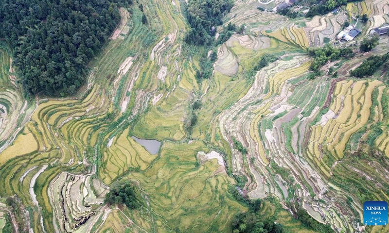 Aerial photo taken on Sept. 22, 2022 shows Ziquejie Terraces in Xinhua County, central China's Hunan Province.(Photo: Xinhua)
