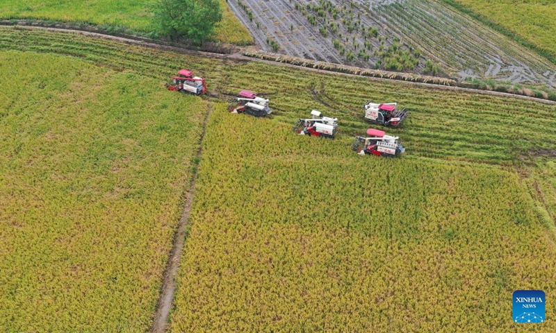 Aerial photo taken on Sept. 22, 2022 shows harvesters working in a paddy field in Shanhe Village of Chengdu, southwest China's Sichuan Province.(Photo: Xinhua)