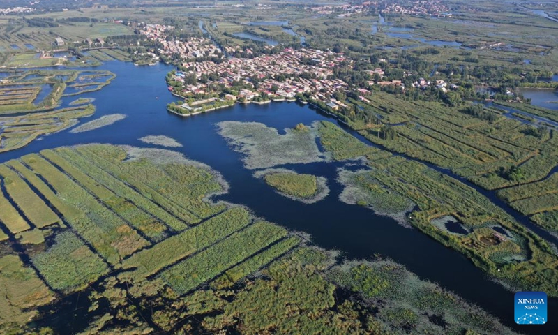 Aerial photo taken on Sept. 21, 2022 shows a bird habitat in Baiyangdian Lake in Xiong'an New Area, north China's Hebei Province. In recent years, the Xiong'an New Area has strengthened the ecological protection and restoration of Baiyangdian Lake. Through systematic ecological management, the water quality of Baiyangdian Lake has seen a leaping improvement and the biodiversity has increased significantly.(Photo: Xinhua)
