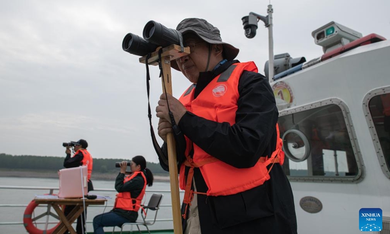 Researchers use binoculars to conduct monitoring work during a scientific expedition on Yangtze finless porpoises at the Shishou section of the Yangtze River, central China's Hubei Province, Sept. 23, 2022.Photo:xinhua