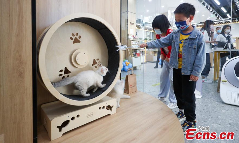 Children plays with a cat in a pet-themed Xinhua Bookstore in Beijing on Sept. 25, 2022.Photo:China News Service