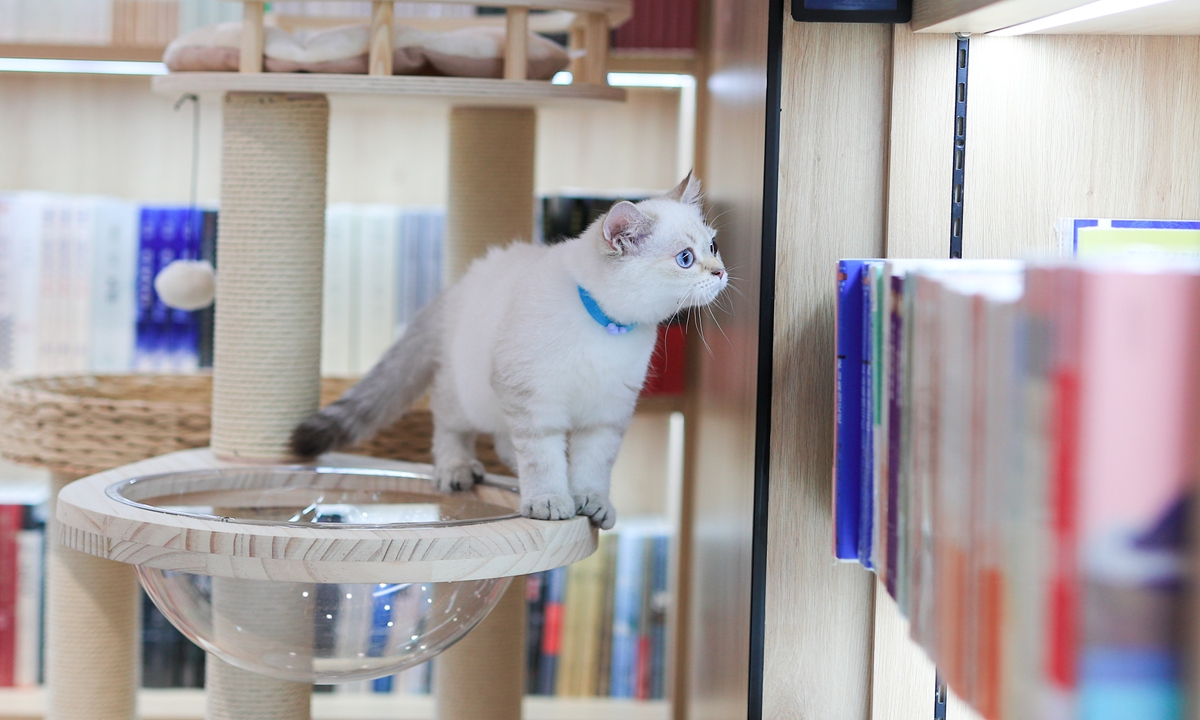 Xinhua Bookstore in Beijing opened its first pet-themed bookstore, which  provides readers with a unique reading experience on September 25, 2022.