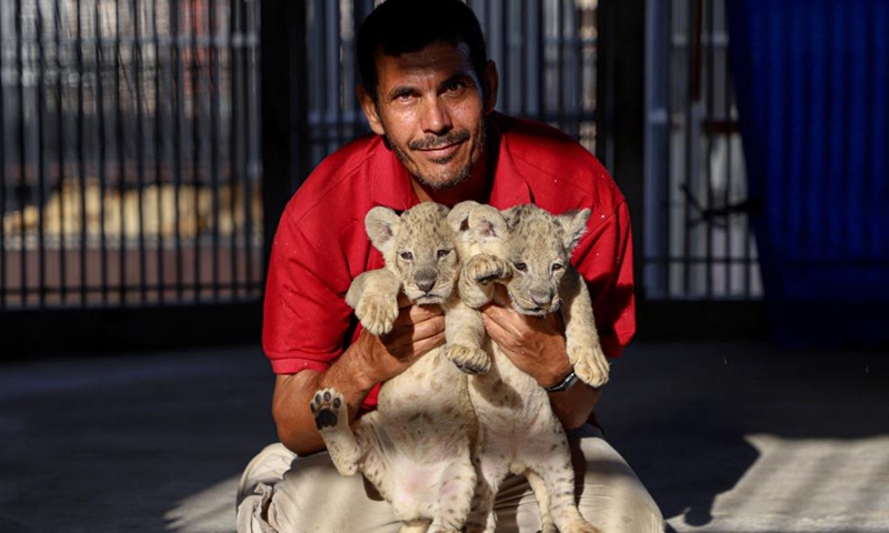Keeper Mahmoud Al-Muzain poses with a lion cub at Namaa Zoo in the northern Gaza Strip on Sept. 25, 2022.Photo:Xinhua