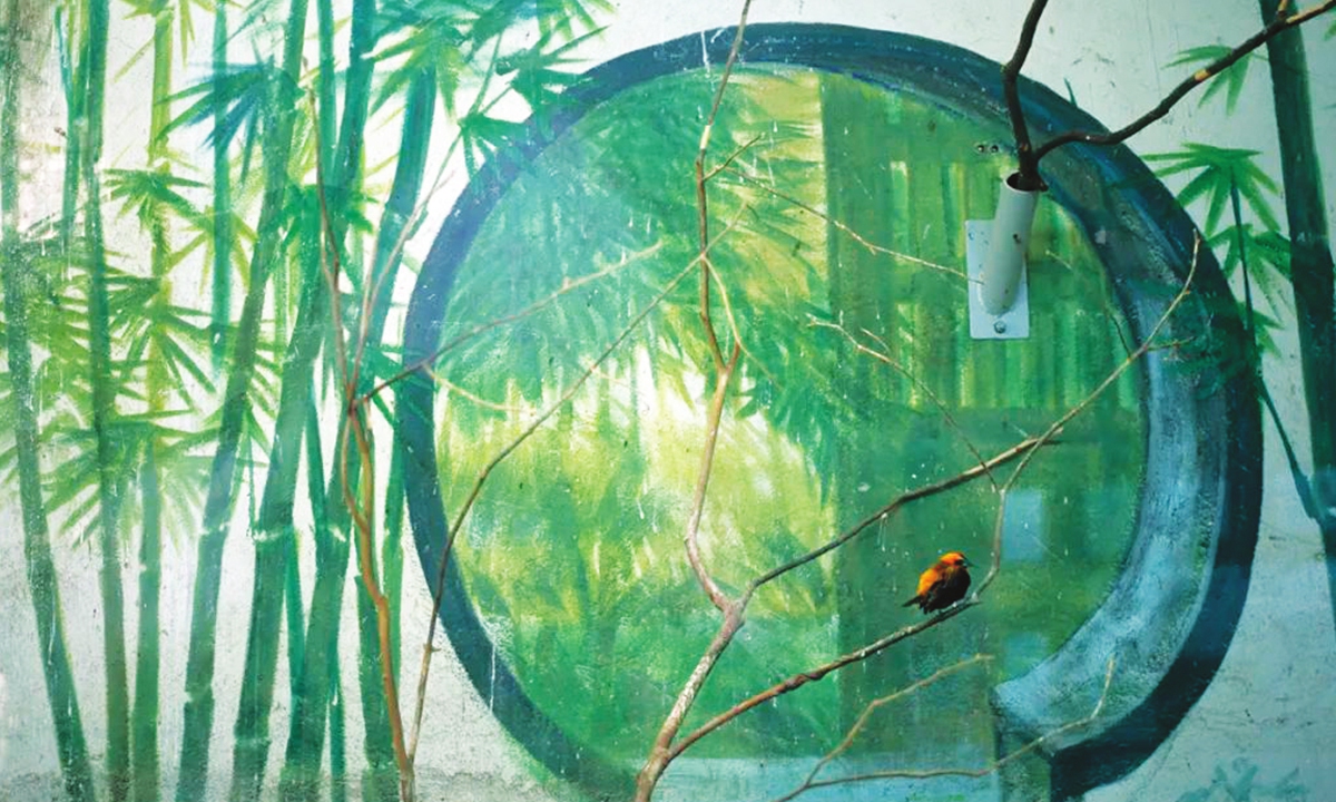 An artwork by photographer Chen Xia on display at the JINGPHOTO exhibition Photo: Courtesy of the exhibition 