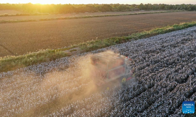 Aerial photo taken on Sept. 26, 2022 shows a cotton picker working in fields in Xayar County, Aksu Prefecture, northwest China's Xinjiang Uygur Autonomous Region. The cotton harvest season has started in Xayar County of Xinjiang.(Photo: Xinhua)